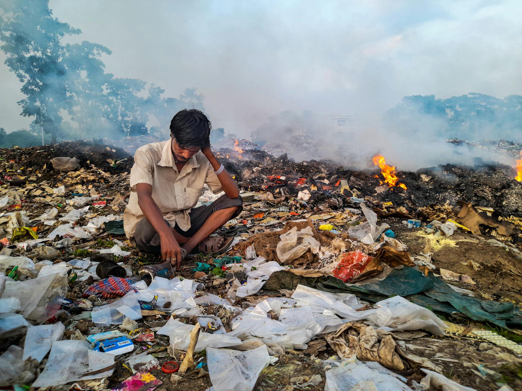 Kedi ve Köpek Bakımı